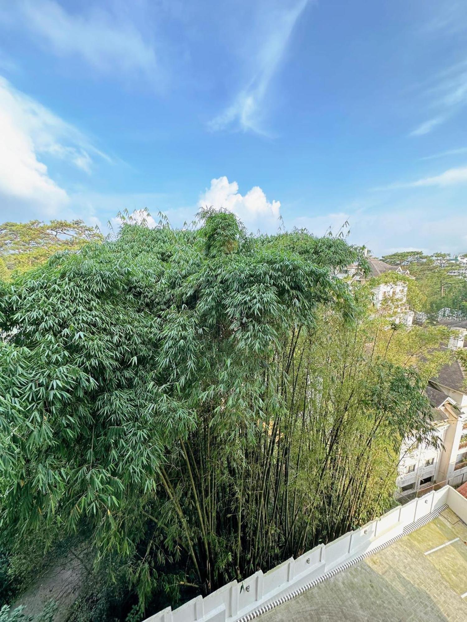 Luxury Suites At Brenthill Baguio City Buitenkant foto